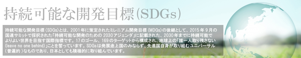 持続可能な開発目標(ＳＤＧｓ)